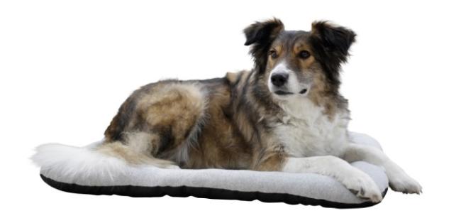 Hundekissen Graphene antibakteriell und für Allergiker geeignet, waschbar